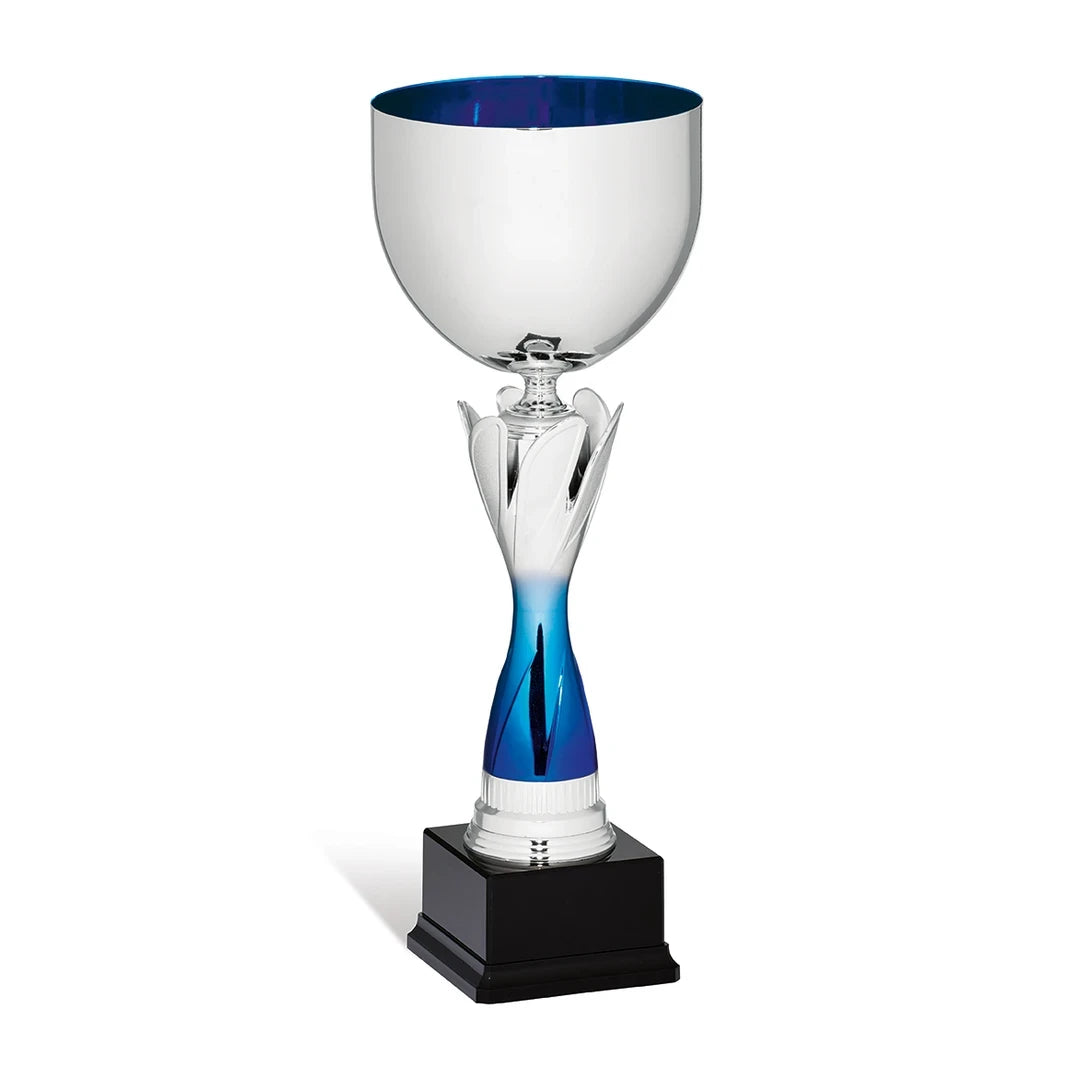 CBRIDGE:95165A:95165A_01
