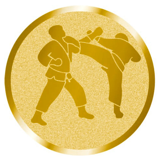CBRIDGE:CENTRO-KARATE:CENTRO-KARATE_01